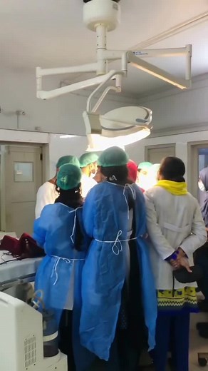 Inside a Healthcare Setting: Daily Life of Professionals