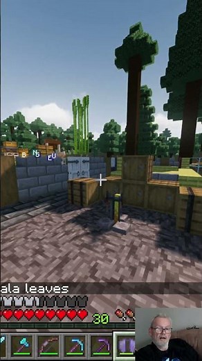 Combining chest plate and elytra. #minecraft #minecraftmods