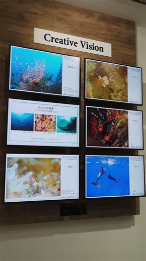 写真展│7/30(木)～ 「みんなの海展 ― パパラギ水中写真展 2026―」