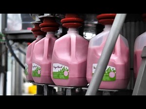 The Yogurtland Dairy: Behind the Scenes