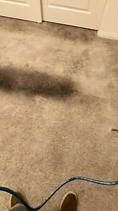 4.5K views · 44 reactions | Before steaming #lasvegas #satisfying #cleaning #OMG | CleanTime USA | Facebook