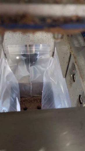 Making Mushroom Substrate Blocks. Indoor Farming. #shorts