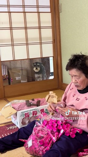 自宅に帰ってた婆ちゃん、久しぶりに内職が来たので 喜んでしてます！それを ロックは 中に入りたくて なにか吠えて伝えてます けん爺が 座敷はダメだと呼び戻す声が聞こえてますね！