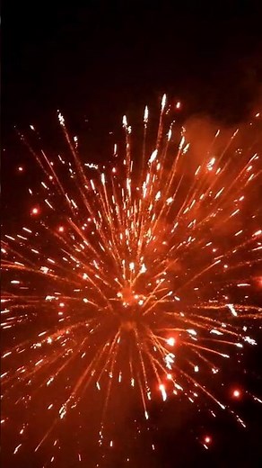 SRPYRO Vibrant Voyager. #srpyro #srpyrofireworks #pyroforlife #feuerwerk #feuerwerksbatterie