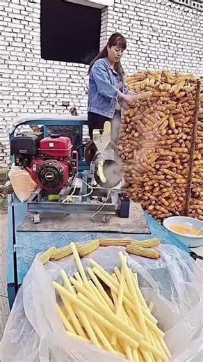 Making process of puffed food from corn