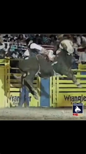 🇺🇲 Daryl Mills 🆚 Skoal's Big John for 88 points _ 1994 NFR _ Round 2 #reels #agro #men #bullfighter #bullrider #sertanejo #americanhatco #vaquejada #cautry #cawboy #viral #sport #atleta #prca #prorodeio #viral #rodeio #rodeo #horse #vaquejada #farm #Big | Bull Riders