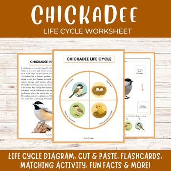Chickadee life cycle, North American songbirds science unit study with fun facts