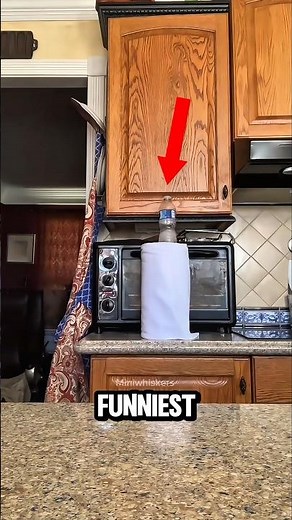 Top 5 Funniest Bottle Flip Moments You Won't Believe!😱🤣