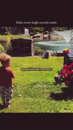 Knowledge Factory (@knowledgefactory79)’s videos with original sound - Knowledge Factory