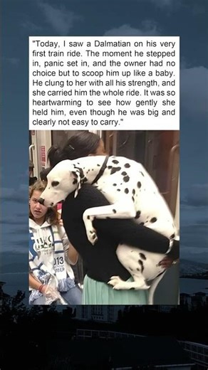 "This Dalmatian's First Train Ride Will Melt Your Heart"