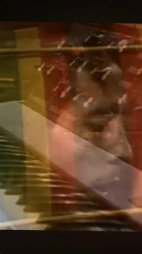 Bob Marley & The Wailers - Stir It Up (Live 1973) #bobmarley #reggae #music #shortsfeed #viral