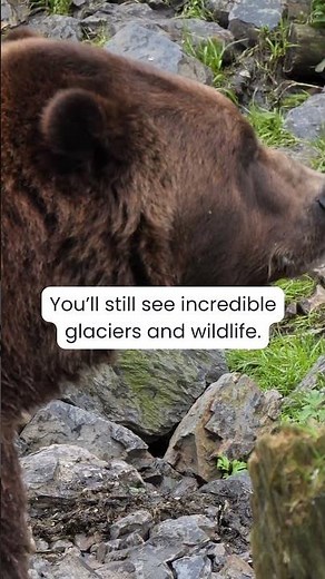 Best Times for Cheap Alaska Cruises (Less Crowds Too)