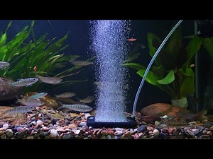 hygger Non-Clogging Fish Tank Bubbler, Aquarium Air Stone------HG 093