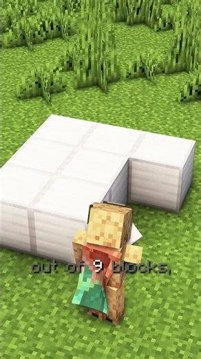 This Minecraft Lightning Generator is INSANE!