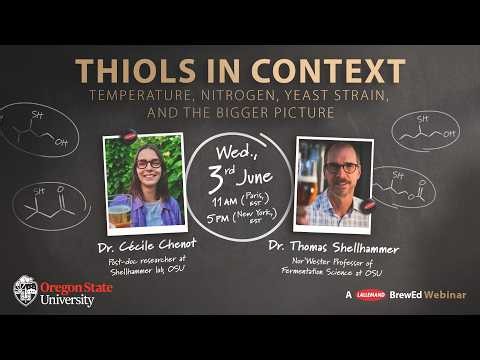 Thiols in Context: Temperature, Nitrogen, Yeast Strain, and the Bigger Picture