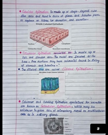 #structures#notes #boardexamscience#tutorial #tutorial #examtips2025 #question #relaxingmusic