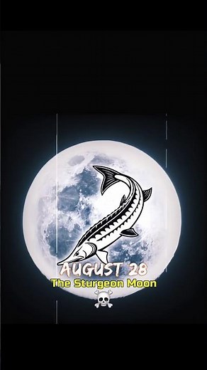 🌌 August 2026 Will Change the Night Sky Forever Part 2 !💀🤩#Shorts#Astronomy #Universe #Moon #Earth