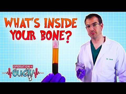 What's Inside Your Bone? | Operation Ouch | Science for Kids