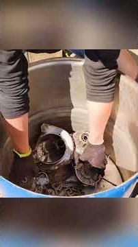 🛵✨ A Forgotten 1960s Scooter Comes Back to Life