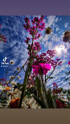 Vij_Z (@vij_z)’s videos with The Inside Man - Soopasoul Remix - Funky Destination