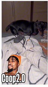 1.6M views · 56K reactions | Ok bottom line is I saved u  | Coop 2.0 | Facebook