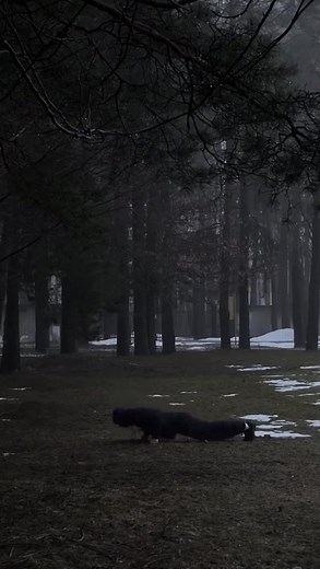 YOU VS YOU #fyp #motivation #mentalhealth