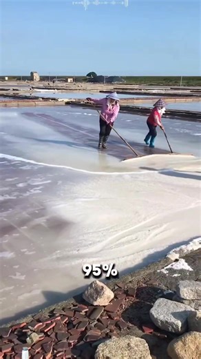 2.5K views · 115 reactions | The process of making salt | Lee Yumi | Facebook