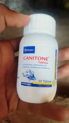 best calcium tablet for dogs , canitone tablets #caniton #calcium #dogssupplement