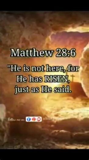 He IS risen! He is risen indeed! Hallelujah!#jesuschrist#Risen#happy #resurrectionday #risensavior
