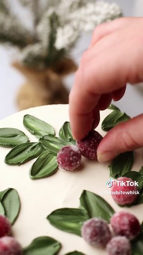 A little closer look at the decorating process for this Cranberry Ginger Cake! (Recipe in my recent reels btw 🤍) Simple sugared cranberries and one palette knife technique on repeat creates this frosted winter design. Save this one to your decorating ideas and follow for more decorating tutorials, recipes, and food photography inspo 📷 #washingtonfoodphotographer #washingtonbaker #cakedecorating #winterweddingcake #wintercake #christmascake #cranberrycake #paletteknifecake