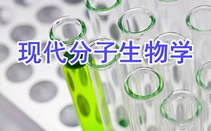 5.5《现代分子生物学》-rRNA在蛋白质生物合成中的作用