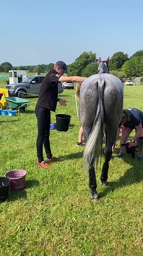 Bramham International Horse Trials 2023 Warm day here and great to see we’ll prepared and we’ll ridden horses finishing in great condition. Here is Izzy Taylor’s Happy Days at the end of XC being expertly cooled (no scraping 🙂 ) and looking great! | Dr David Marlin