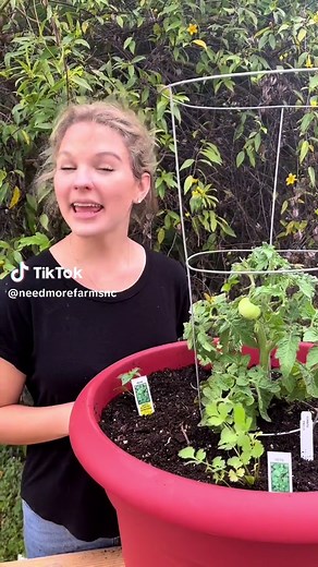 Salsa Planter Guide: Tips for Growing Tomatoes, Peppers, and Cilantro