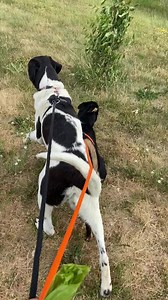 Tri-County Humane Society on Reels | Facebook