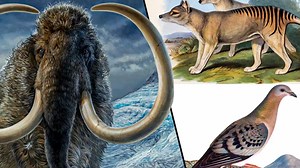 10 Extinct Creatures Scientists Are Trying to Bring Back to Life