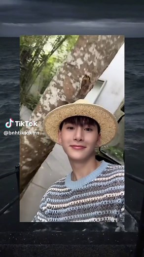 Crocodile Bonk Meme Compilation