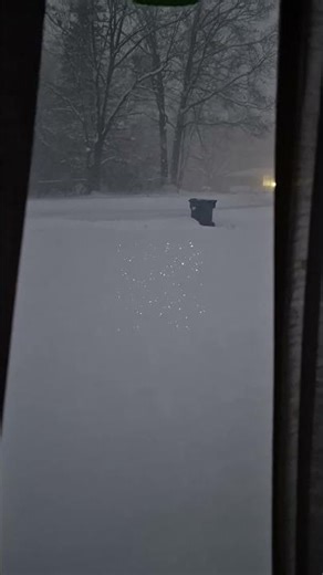 temp 12 degrees feels feels like 4 below #shorts 1 19 26 Monday 7 43 am est #cold