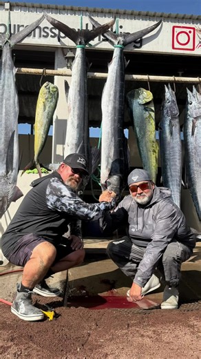 4 Striped Marlin! Baja Fishing Bums Crush San Quintín w/ Capt Chiflo 🎣🔥 The Baja Fishing Bums just unloaded an epic San Quintín day. Danny Munoz and Johnny Maine ran with Capt. Chiflo Flores of Tiburón Pangas and came back with 4 striped marlin, 2 dorado, and 2 wahoo — two anglers, that whole pile of fish, and we have the video as they pull into the dock. San Quintín, Baja California, Mexico sits about 185 miles south of the Tijuana / U.S.–Mexico border. El Niño 2026 is still stacking the Paci