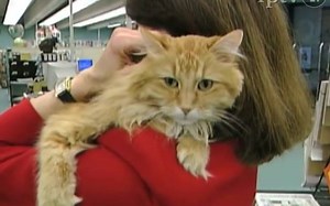 Memories of Dewey Readmore Books