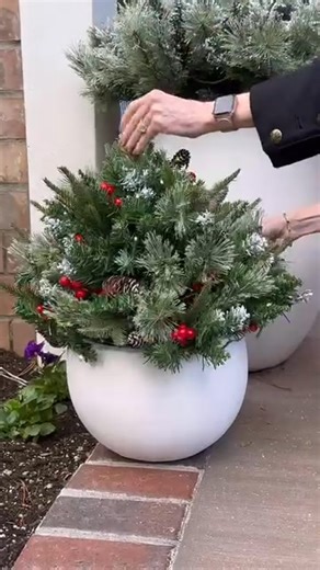 242 reactions · 13 shares | ✨ Bring instant holiday charm to your entryway with our Pre-lit Artificial Christmas Tree Urn Filler! Featuring lush greenery, twinkling LED lights, and festive accents – it's the easiest way to upgrade your seasonal decor.  | LITB Home Bestseller | Facebook