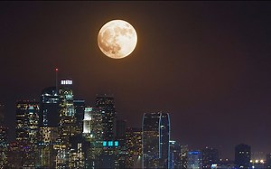 Google - Year In Search 2016