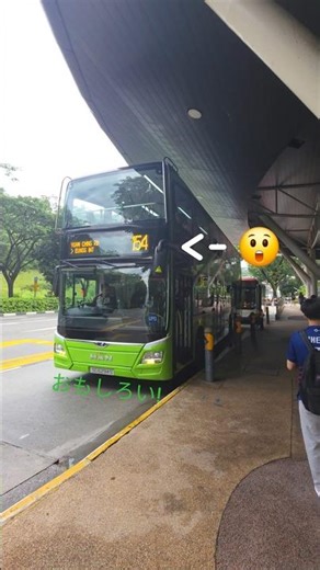 SBST MAN A95 Euro 6 3-Door (SG6294S) on 154 departing Ngee Ann Polytechnic