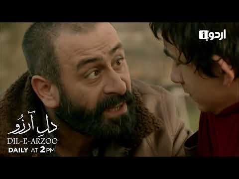 Dil-E-Arzoo | Episode Promo 4 | Turkish Drama | Mercy | Merhamet