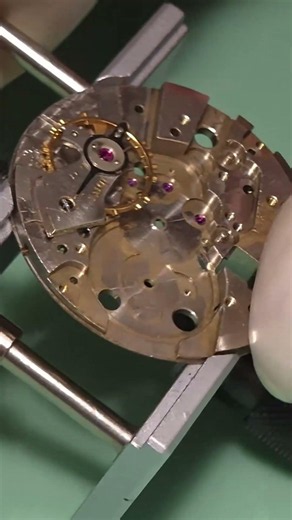 Balance spring crucial. #watchmaking #watch #doxa