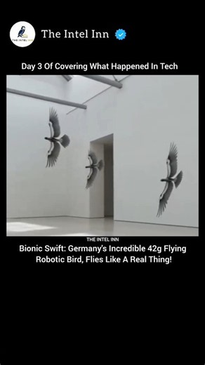 This 42g Robot Bird Flies Exactly Like a Real Swallow! 🐦🚀 #RobotBird #Bionicswift