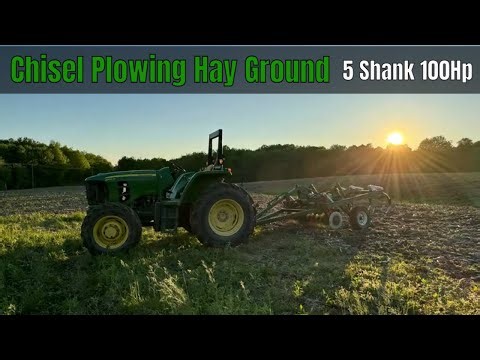 5 Shank Glencoe Chisel Plow Working Ground