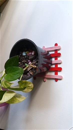 DIY coaster with ice cream stick #youtubeshorts #art #viralvideo #coaster #craft