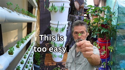 16K views · 203 reactions | Spring is here! We have a lot of experiments started including the ever popular DIY tower gardens and some totes set up like Hydroponic Hut. I also get back to the basics, before I ever started filming videos. Lots of quick tips throughout the video, detailed tutorials on each coming soon. Keep on Groin'  | Keep on Growin' | Facebook