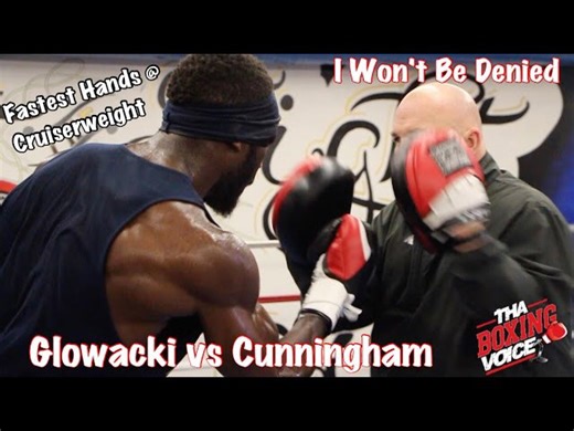 Steve Cunningham fastest hands at cruiserweight without a doubt