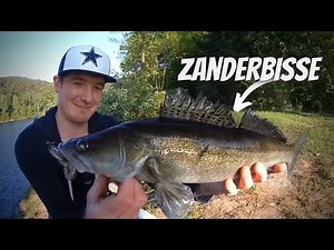 Zanderangeln & Technikvariante Schwarmsimulation